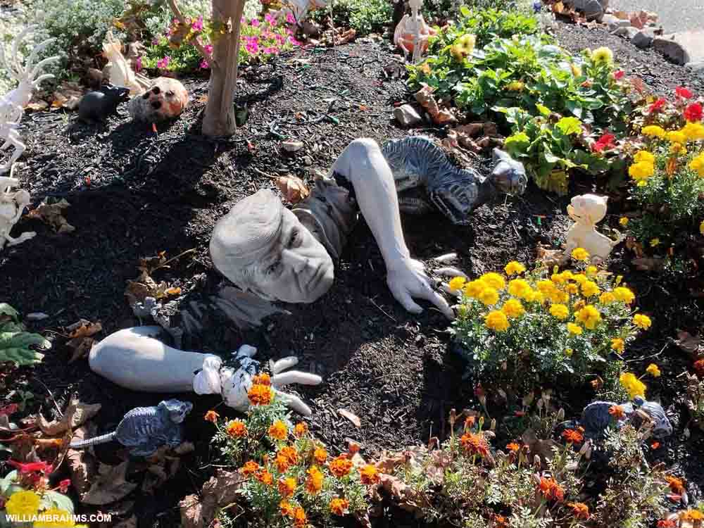 A white granite sculpture of Donald Trump buried up to his chest in the dirt of a flower garden